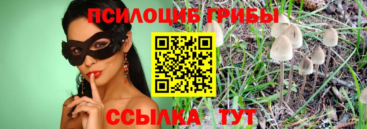 Галлюциногенные грибы Cubensis  Галлюциногенные грибы мицелий  Вход с VPN  Краснокаменск 